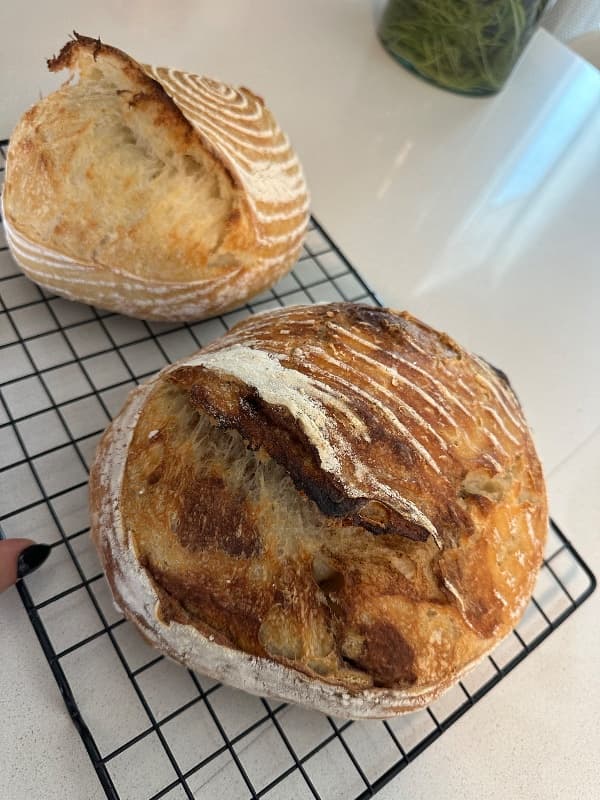 LittlebirdCo listing 2